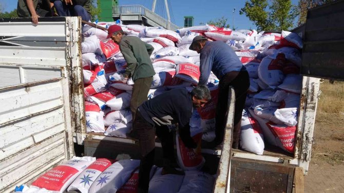 Bingöl’de Çiftçilere 500 Ton Buğday Tohumu Dağıtıldı