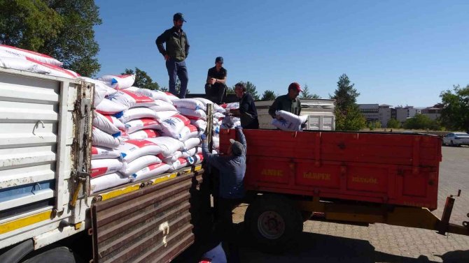 Bingöl’de Çiftçilere 500 Ton Buğday Tohumu Dağıtıldı