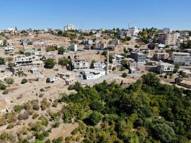 Diyarbakır’da 650 Yılından Kalma Cami Zamana Direniyor