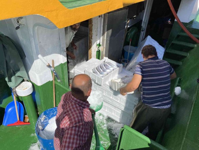 Bartın’dan İ̇zmir’e Palamut Sevk Ediliyor