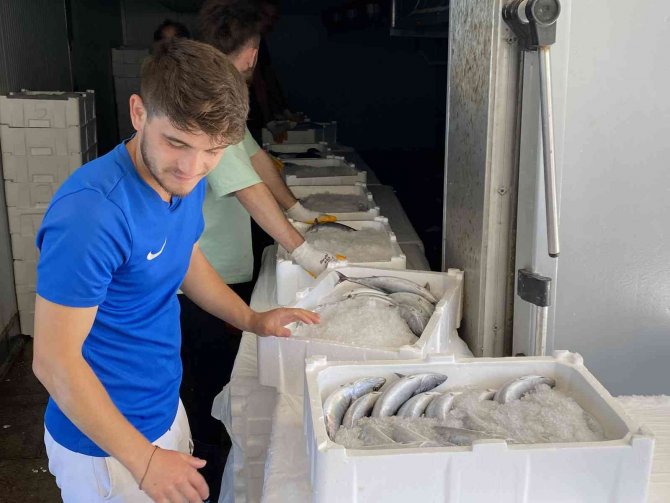 Bartın’dan İ̇zmir’e Palamut Sevk Ediliyor