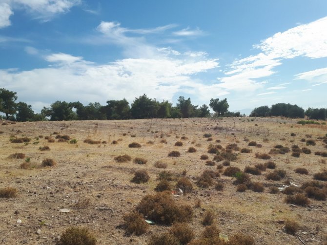 Üreticiye Hibe Edilen Fidanların Takibi Yapılıyor