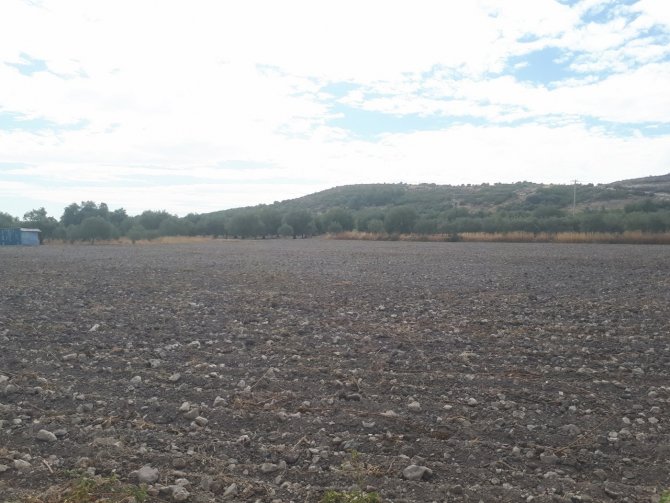 Üreticiye Hibe Edilen Fidanların Takibi Yapılıyor