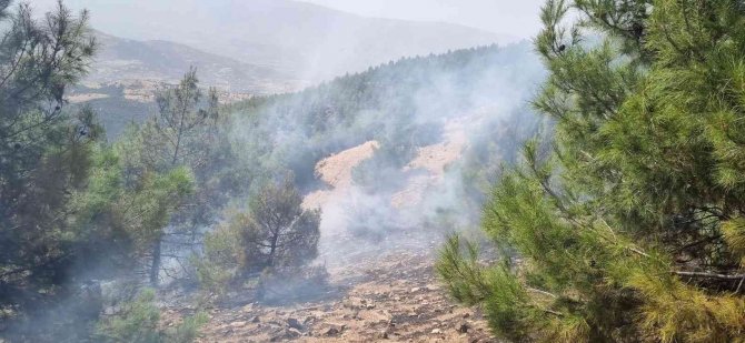 Nazilli’deki Orman Yangını Büyümeden Söndürüldü