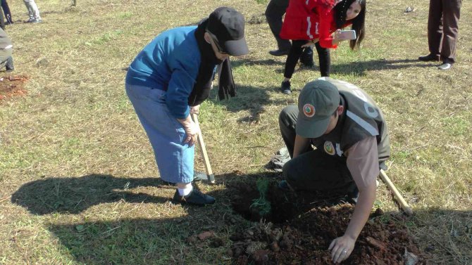 Huzurevinin Çınarları, Fidanları Toprakla Buluşturdu