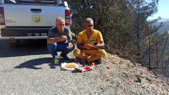 Adıyaman’daki Orman Yangını Tamamen Söndürüldü