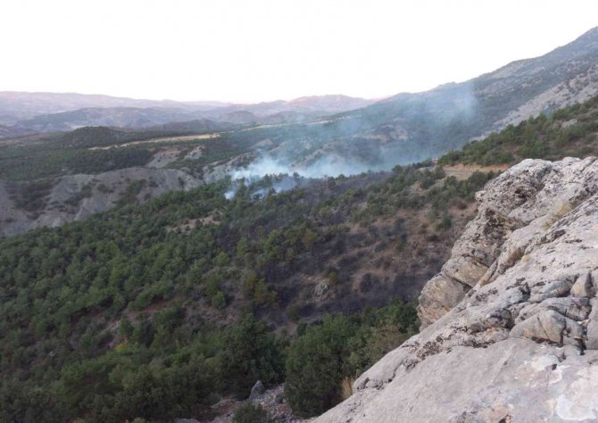 Adıyaman’daki Orman Yangınına Havadan Ve Karadan Müdahale Ediliyor