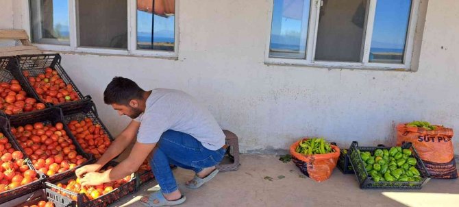 Topraktan Gelen Bereket