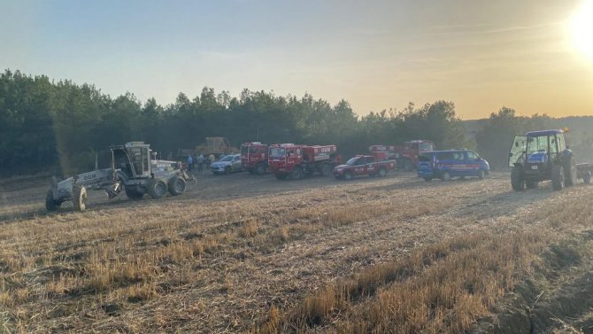 Tekirdağ’da Orman Yangını