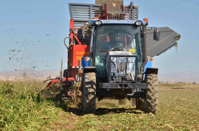 Şeker Pancarının Tarladan Sofraya Yolculuğu Başladı