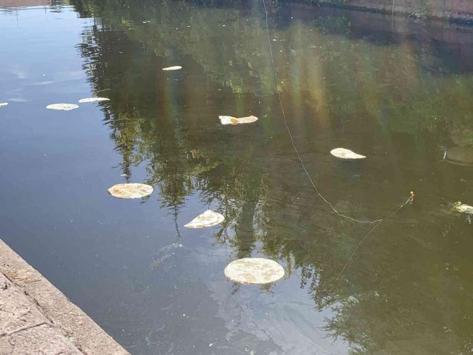 Porsuk’a Atılan Ekmekler ‘Pes’ Dedirtti