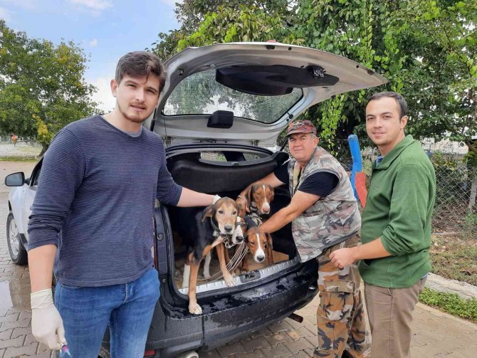Ücretsiz Kuduz Aşısına Hayvanseverlerden Büyük İlgi