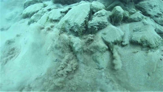 Yaptıkları Su Altı Dalışında Oldukça Nadir Görülen Bir Manzara İle Karşılaştılar