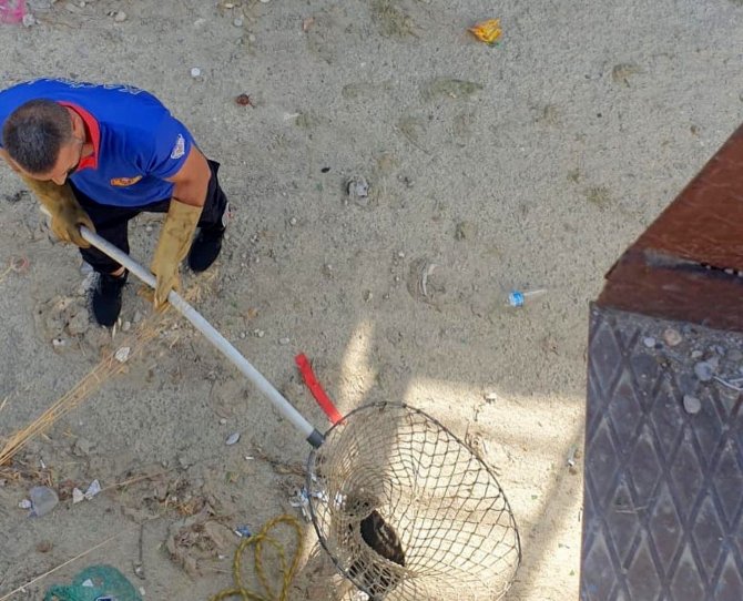 Derede Mahsur Kalan Yavru Kediyi İtfaiye Kurtardı