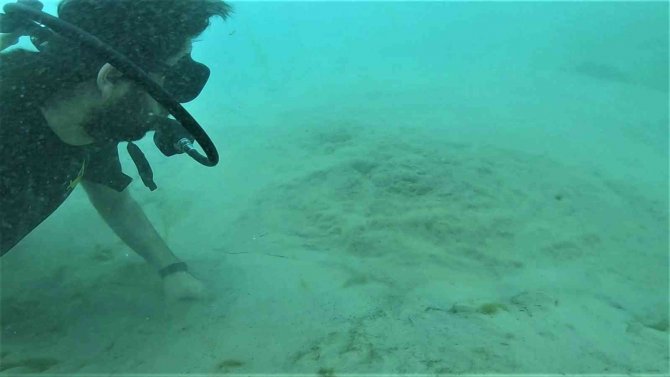 Yaptıkları Su Altı Dalışında Oldukça Nadir Görülen Bir Manzara İle Karşılaştılar
