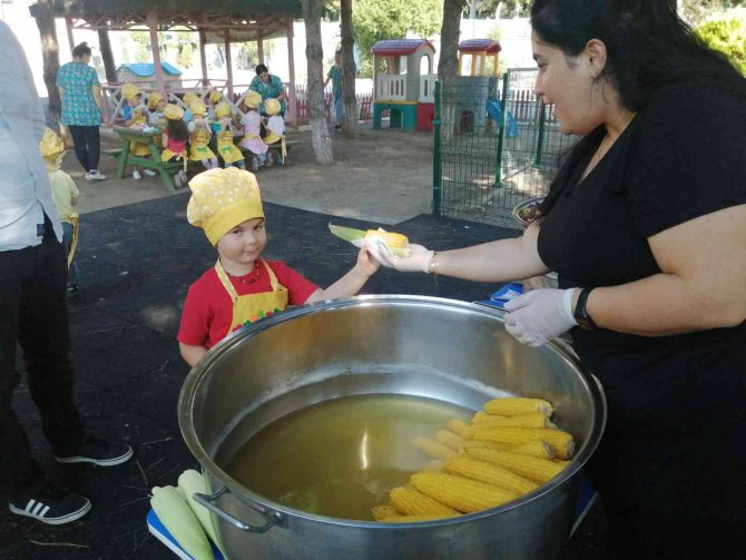 Miniklerden Kestane Ve Mısır Tanıtımı