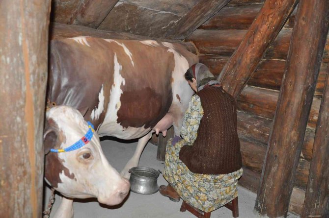 Türkiye’nin Tek Müzesini 40 Bin Kişi Gezdi