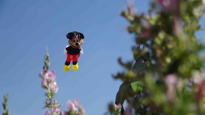 Van’da Uçurtma Şenliği Renkli Görüntüler Oluşturdu