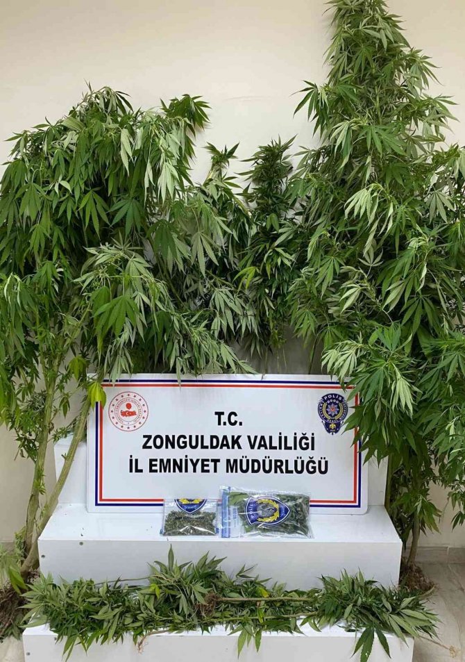 Zonguldak’ta Uyuşturucu Operasyonu