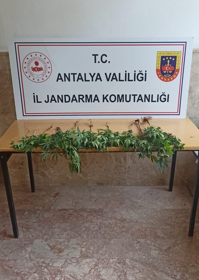 Jandarmadan Uyuşturucuya Geçit Yok