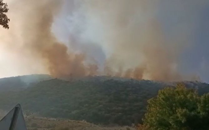 Kaş’ta Orman Yangınına Havadan Ve Karadan Müdahale Sürüyor