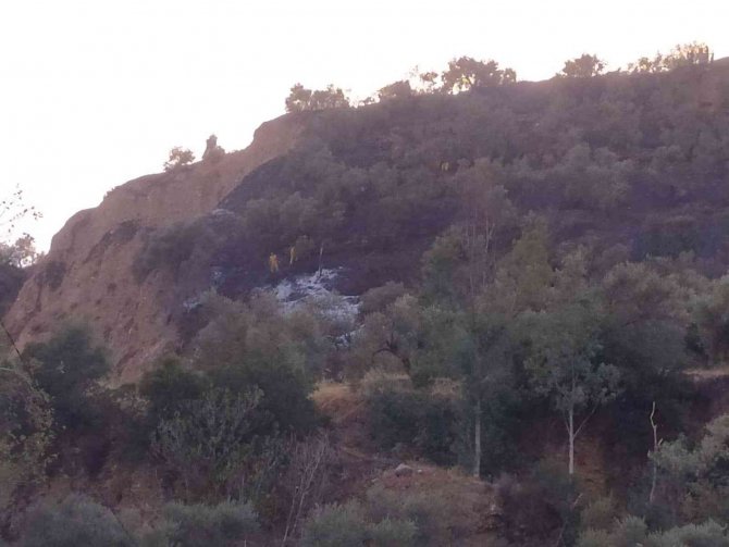 Zeytinlik Alanda Çıkan Yangın Büyümeden Söndürüldü