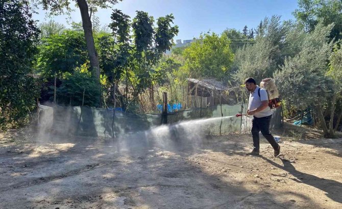 Kadirli’de Haşereyle Mücadele