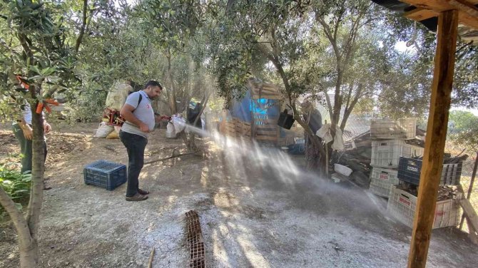 Kadirli’de Haşereyle Mücadele