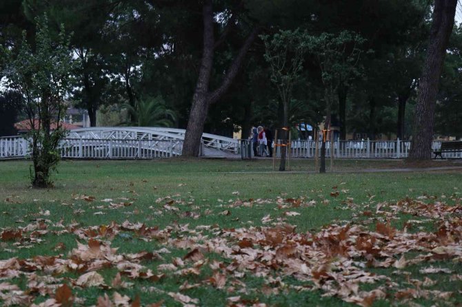 Sakarya’da Sonbahar Manzarası