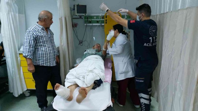 Ceviz Toplarken Ağaçta Elektrik Akımına Kapıldı