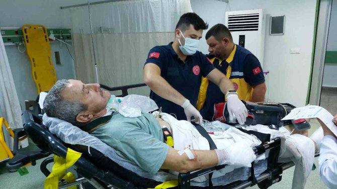 Ceviz Toplarken Ağaçta Elektrik Akımına Kapıldı