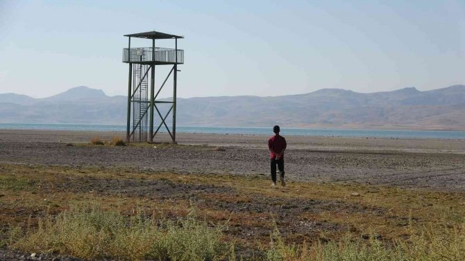 Kuş Cenneti Erçek Gölü’nde Korkutan Su Kaybı