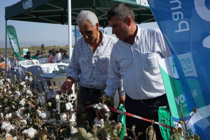 Hektaş’ın Yeni Pamuk Tohumu Egeli Çiftçilere Tanıtıldı