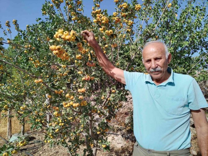 Alıç Emekli Çiftin Yüzünü Güldürdü