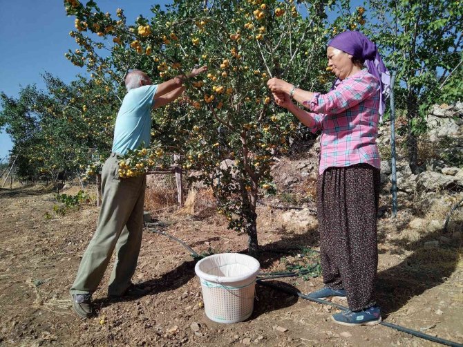 Alıç Emekli Çiftin Yüzünü Güldürdü