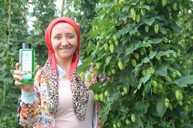 Türkiye’de Sadece Bilecik’te Yetişen Şerbetçi Otunun Kolonyasında Seri Üretime Geçilecek