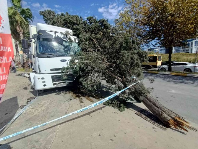 Esenyurt’ta Freni Boşalan Kamyonet Dehşet Saçtı: 2 Yaralı