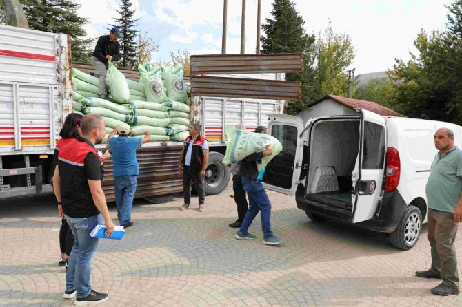 56 Çiftçiye 32 Ton Buğday Tohumu Verildi