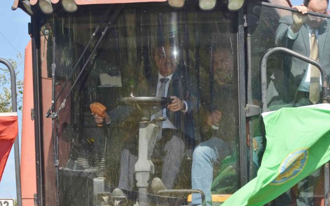 Bafra Ovası’nda “8. Çeltik Hasat Şenliği”