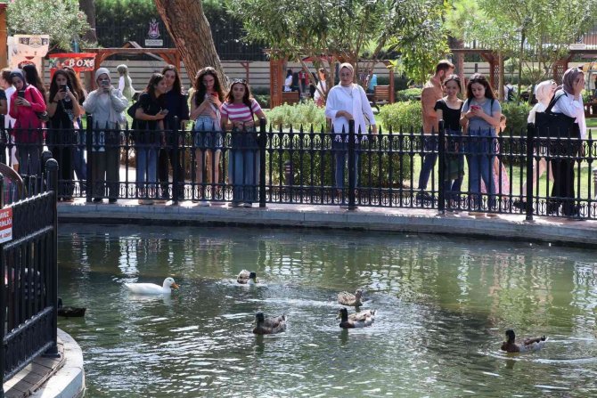 Gençler Manisa’nın Tarihi Ve Kültürel Güzelliklerini Tanıma Fırsatını Buldu
