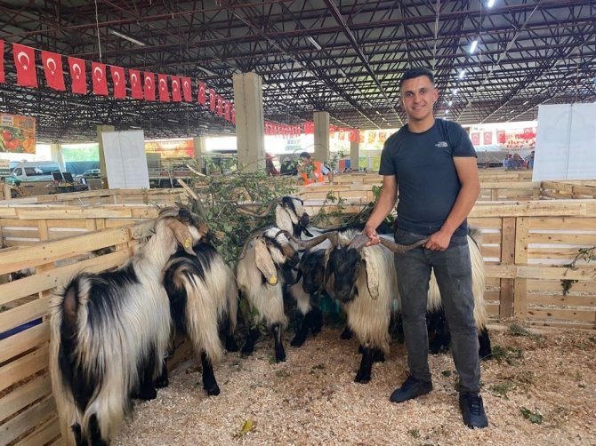 2. Geleneksel Koyun Keçi Ekipmanları Festivaline Yoğun İlgi
