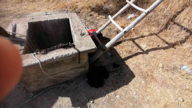Yaşalı Adamın Cansız Bedeni Zeytinlikte Su Kuyusunda Bulundu