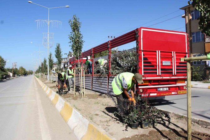 Van Büyükşehir Belediyesinden Ağaç Dikimi
