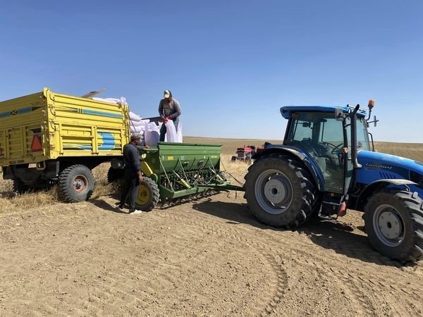 Kulu’da Hububat Ekimine Başlandı