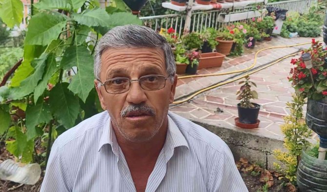 Palamut Bolluğunun Yaşandığı Karadeniz’de Balıklar Deniz Üstünde Dans Gösterisi Yaptı