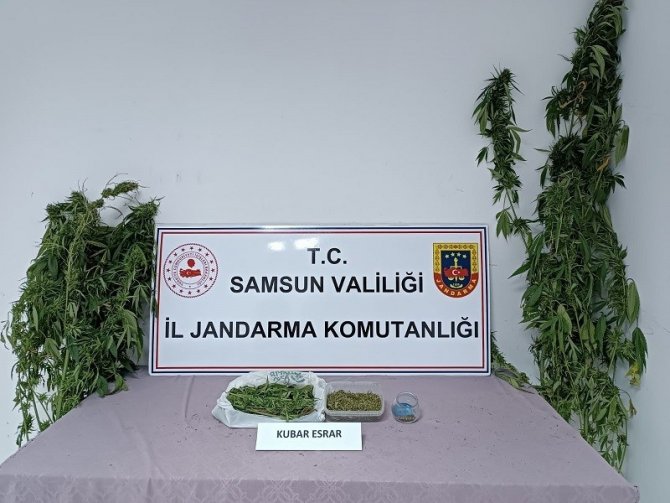 Jandarmadan Uyuşturucu Ve Kaçakçılık Operasyonları