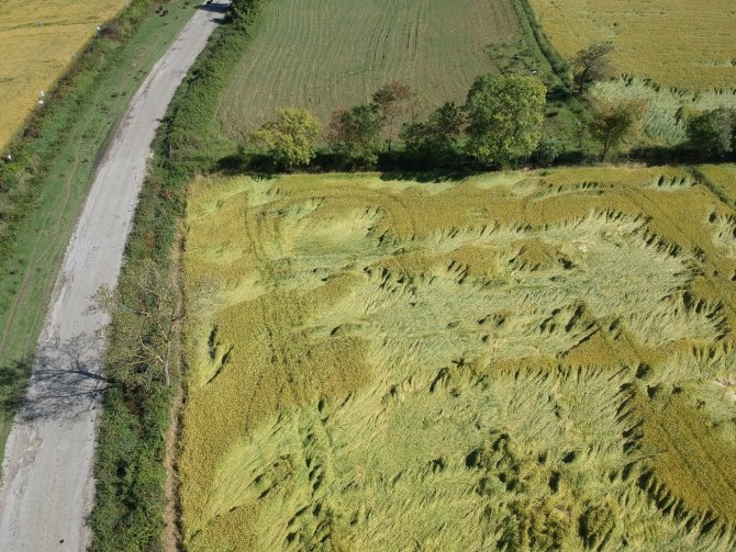 Sinop’ta Fırtına, Tarım Arazilerine Zarar Verdi