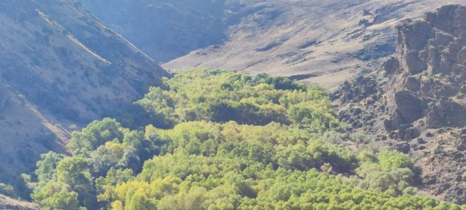 Bal Kayaları Vadisi Eşsiz Manzarası İle Büyülüyor