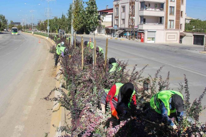 Van Büyükşehir Belediyesinden Ağaç Dikimi