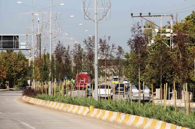 Van Büyükşehir Belediyesinden Ağaç Dikimi